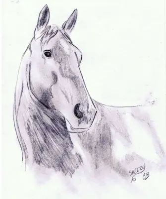Рисунок лошади карандашом легкий