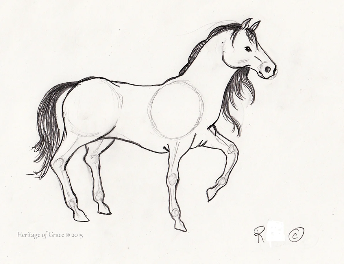 Рисунок лошади карандашом стоя