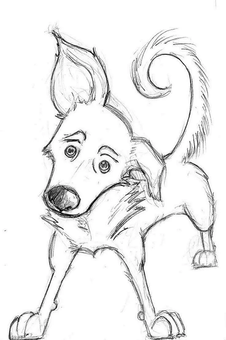 Нарисовать собаку карандашом легко и красиво. Собака рисунок. Рисунок собаки для срисовки. Картинки собак для срисовки. Собака карандашом.