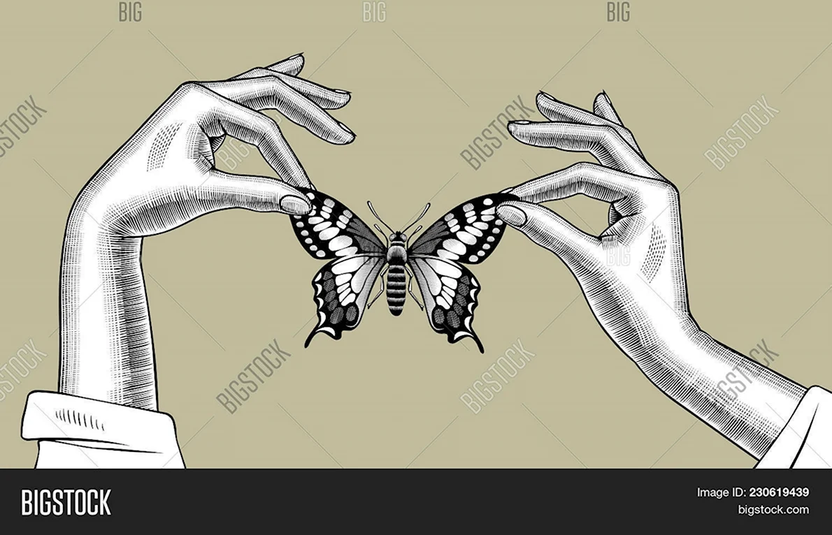 Рука держит бабочку за крылышки