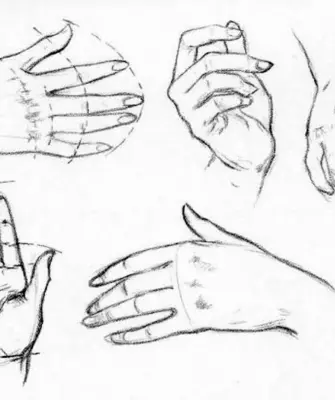 Руки женские рисунок карандашом