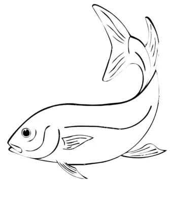 Рыбка карандашом