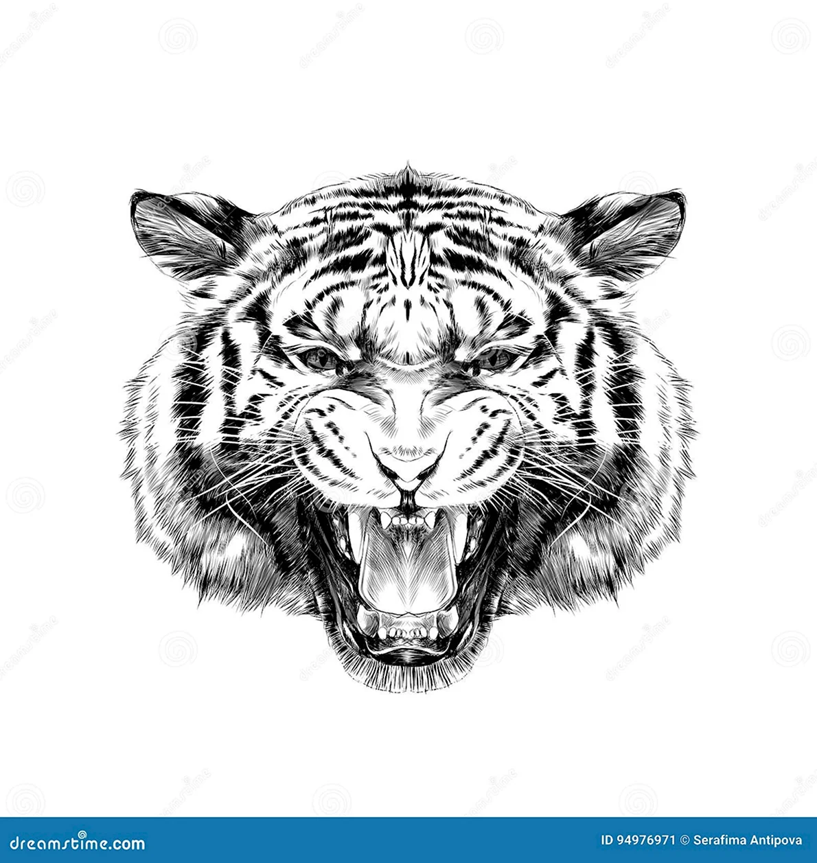 Рычащий тигр эскиз