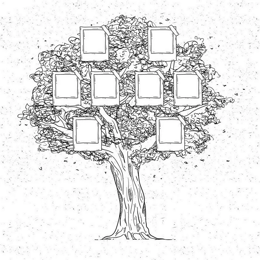 Рисунки родового дерева для 3-класса | Рисунки родового дерева для 3-класса