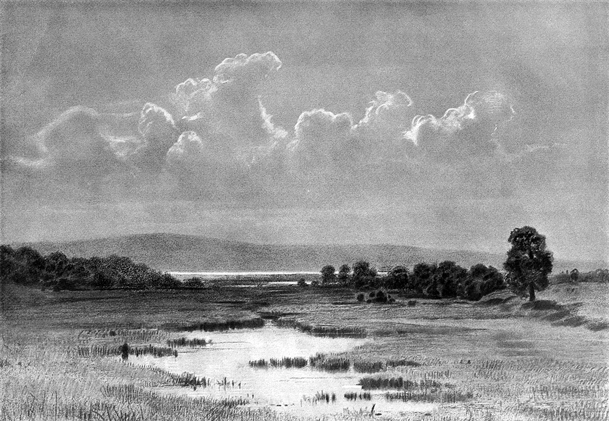 Шишкин болото 1884