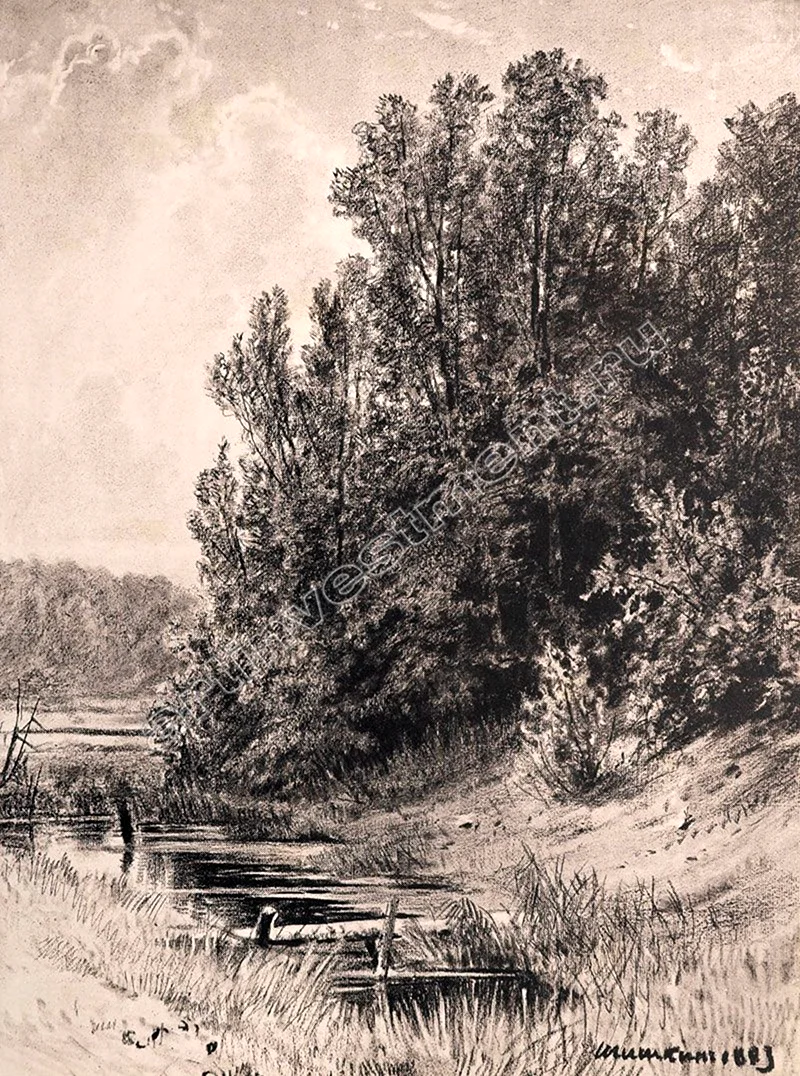 Шишкин ручей 1883