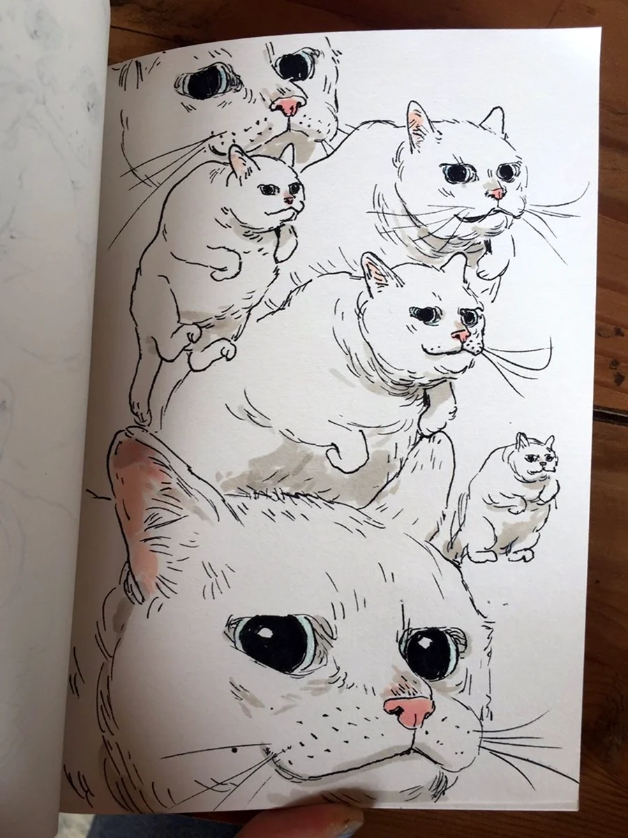 Скетчбук для рисования с котиками
