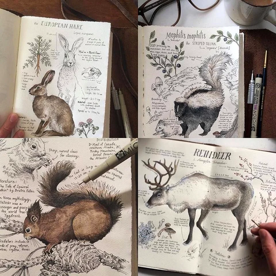 Скетчбук для рисования с животными