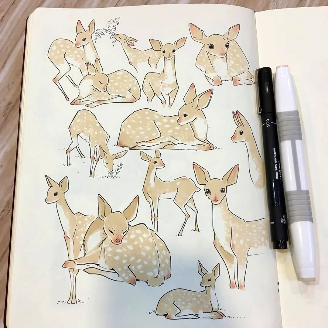 Скетчбук для рисования животных