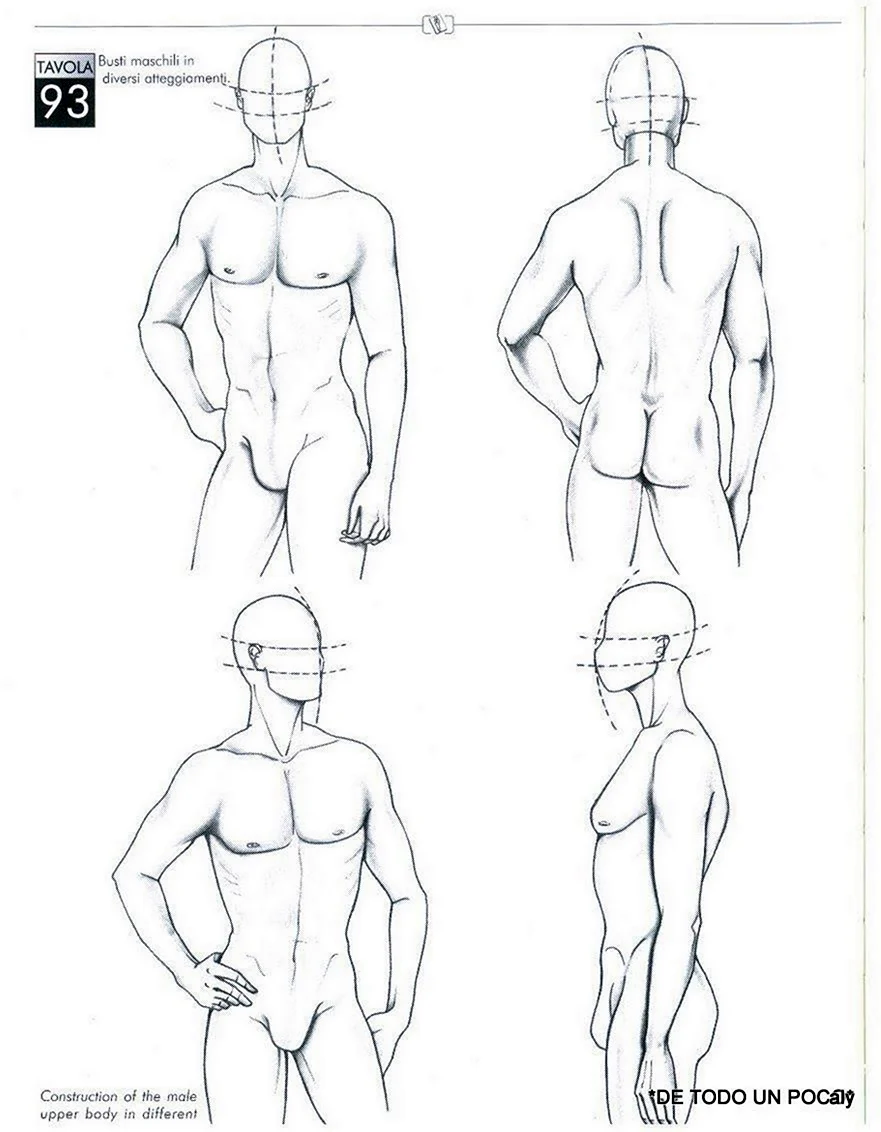 Схема рисования мужского тела