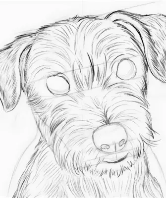 Собачка рисунок карандашом