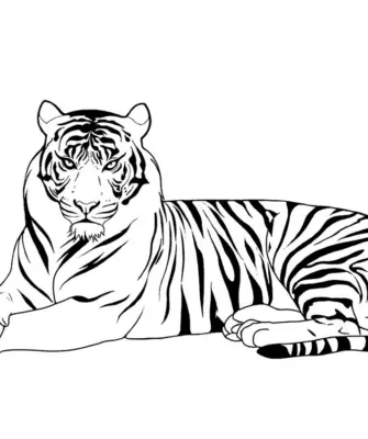 Тигр красивый рисунок