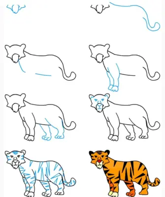 Тигр рисунок сбоку поэтапно