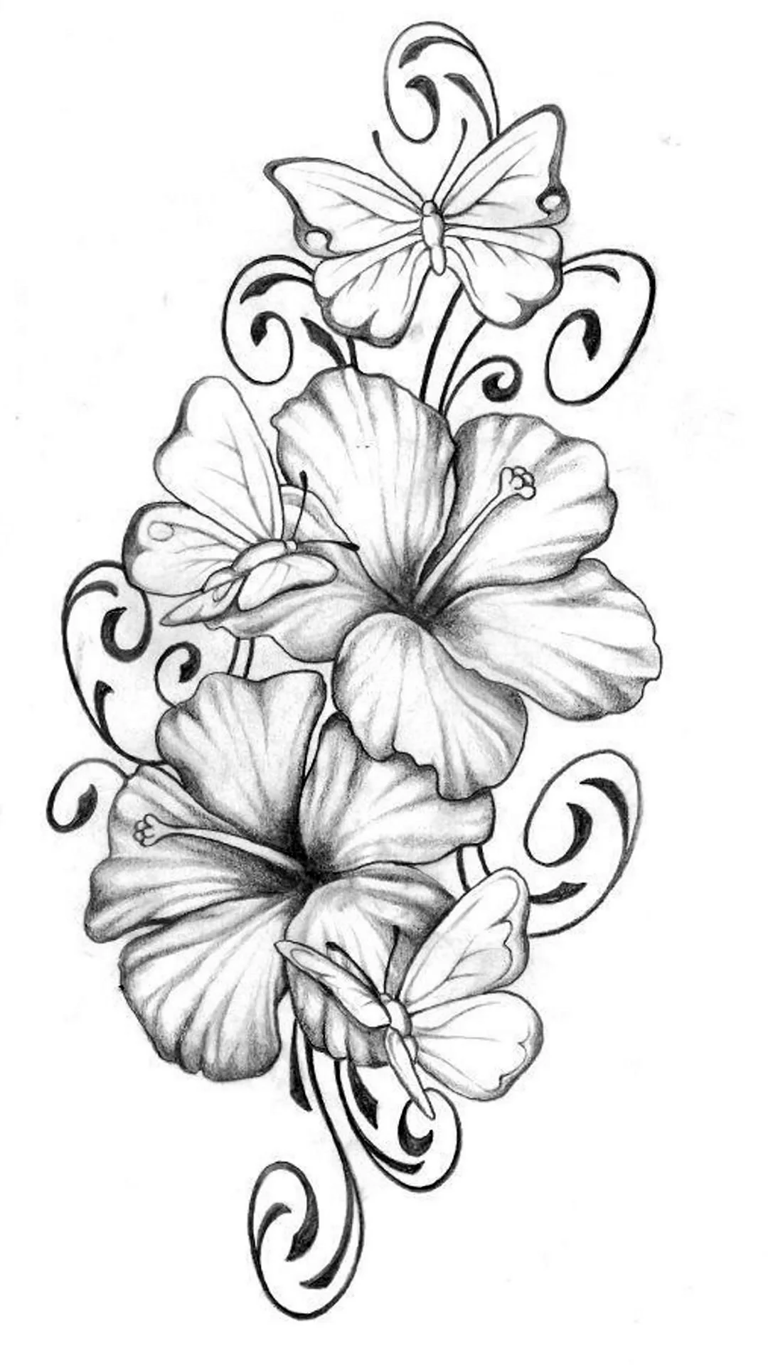 Рисунок цветов в цвете для срисовки (29 шт)