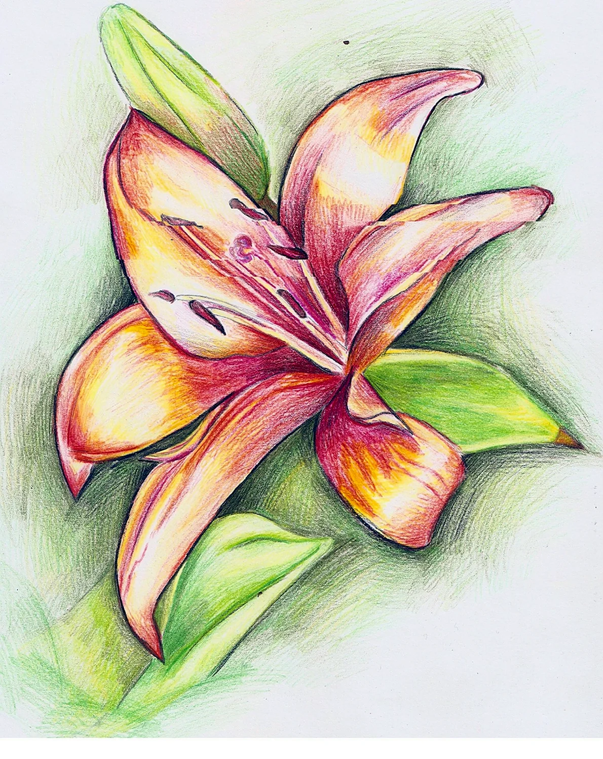 Картинки для срисовки цветы легкие цветные (26 шт)