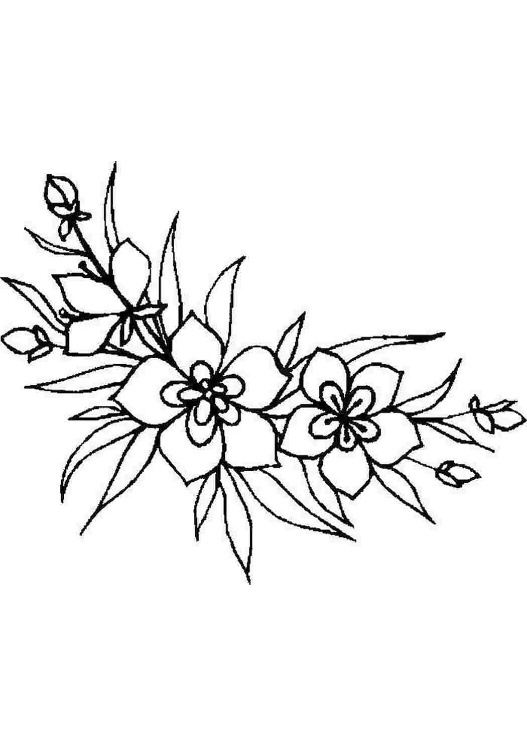 Рисунок цветов в цвете для срисовки (29 шт)