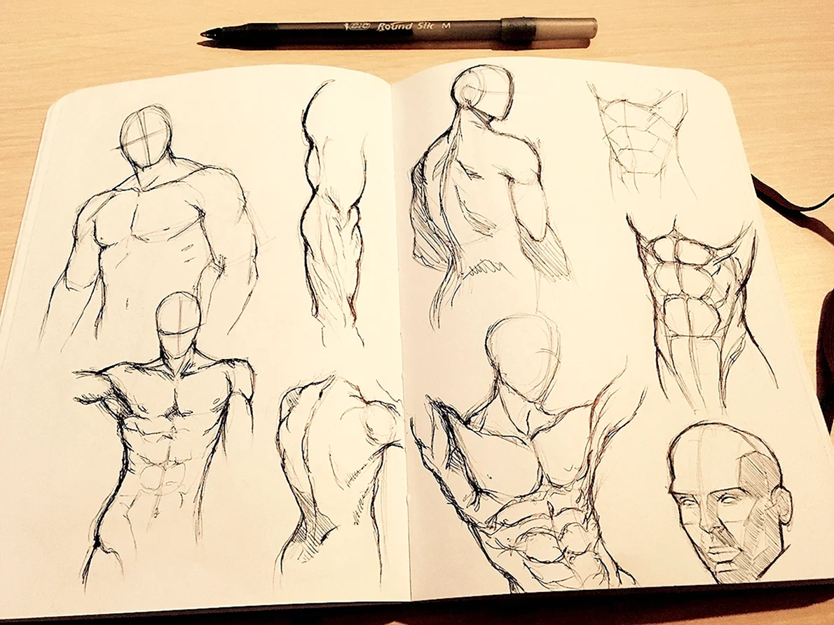 Зарисовки для скетчбука мужское тело