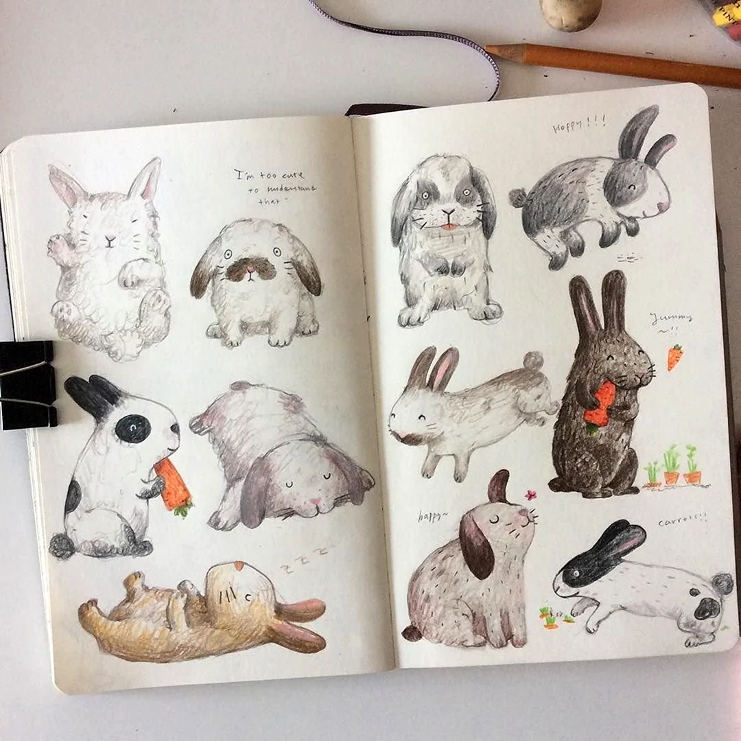 Зарисовки животных в скетчбуке