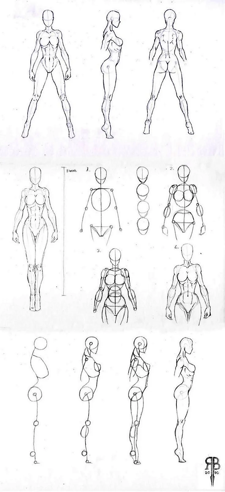 Женская анатомия для рисования аниме