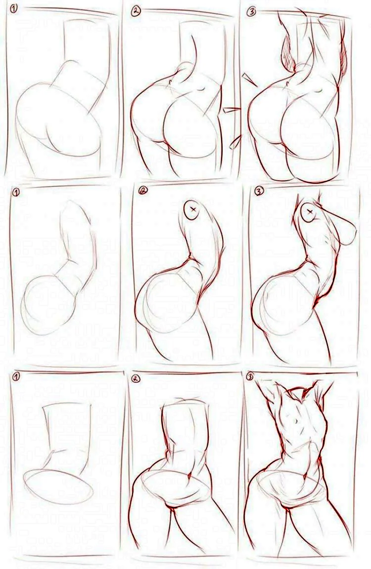 Женское тело для рисования