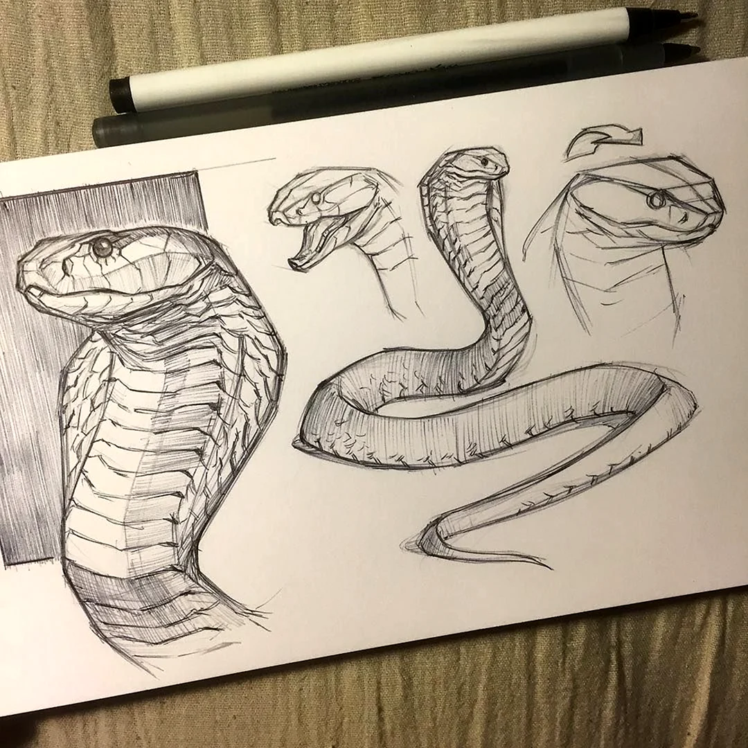 Змеи для скетчбука