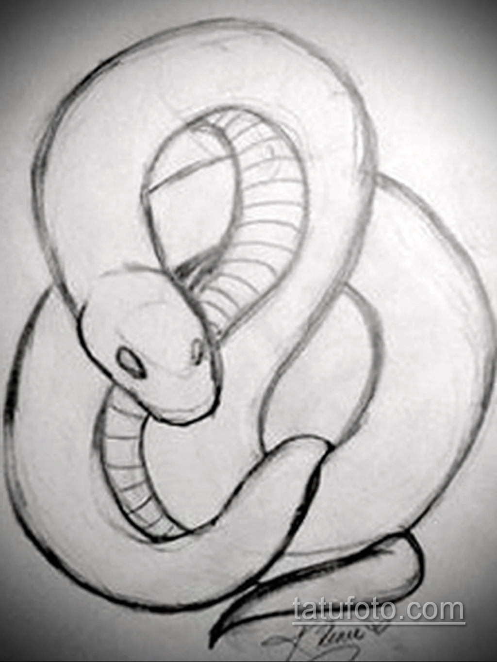 Змея рисунок карандашом для срисовки легкий