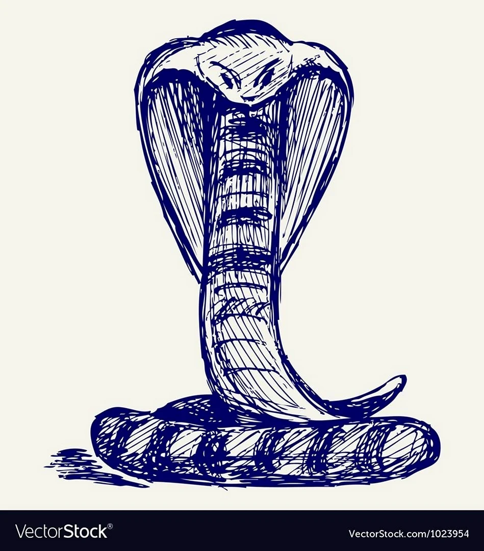 Змея с ручками