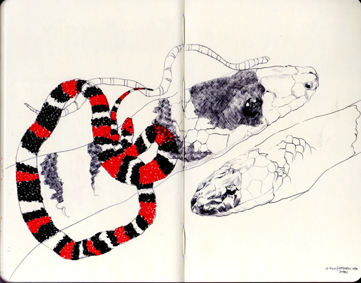Змея скетчбук