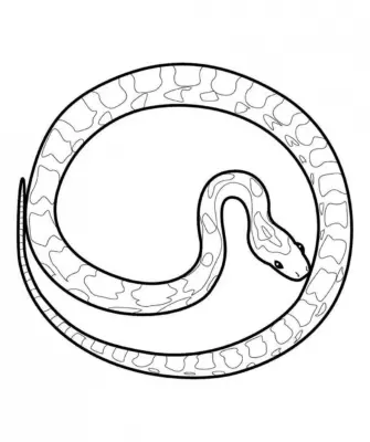 Змея схематично